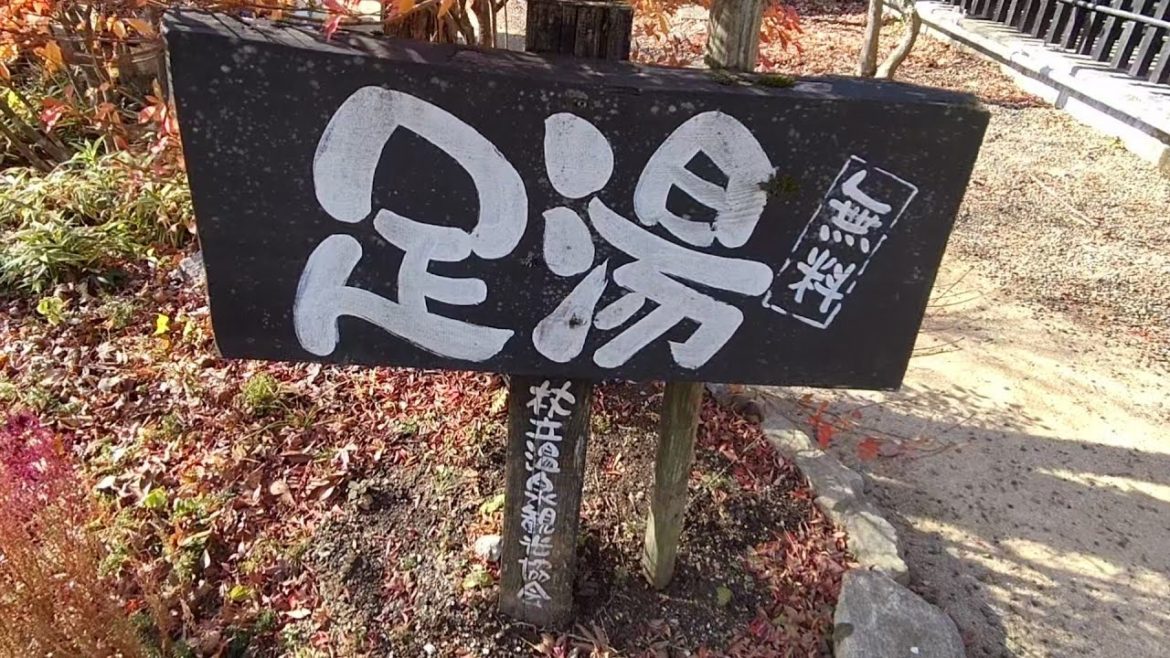 ❮夏休みGO❯山奥の杖立温泉～無料足湯＆梅酒造おおやまの新商品が凄い！