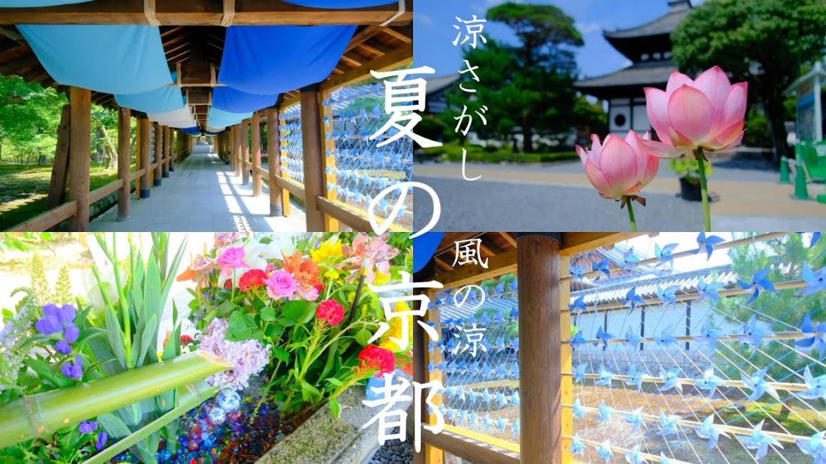 【夏の京都・涼さがし散策】東福寺の風鈴・風車/勝林寺/光明院/カフェ/青もみじ/そうだ京都行こう/三門/蓮/重森三玲/Tofukuji-Temple (Kyoto,Japan)