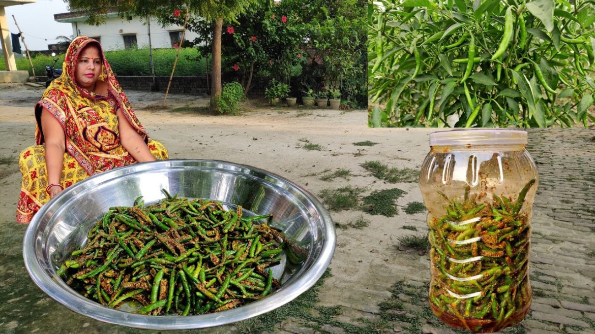 मिर्च का अचार बनाने का ऐसा नया तरीका की सालों तक नहीं खराब होगा | INSTANT GREEN CHILLI PICKLE RECIPE