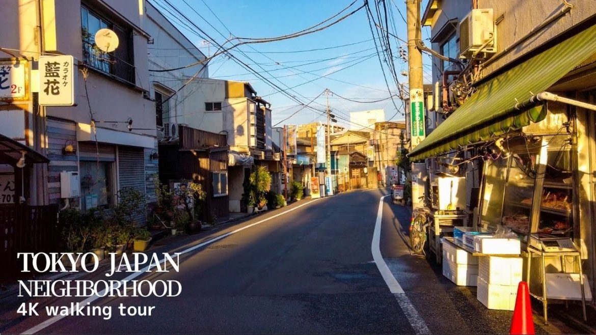 🇯🇵東京下町の風情4K TOKTO SUBURB TRIP japan walking tour | 伊勢崎線沿い 🇯🇵東京下町の風情4K TOKTO SUBURB TRIP japan walking tour | 伊勢崎線沿い