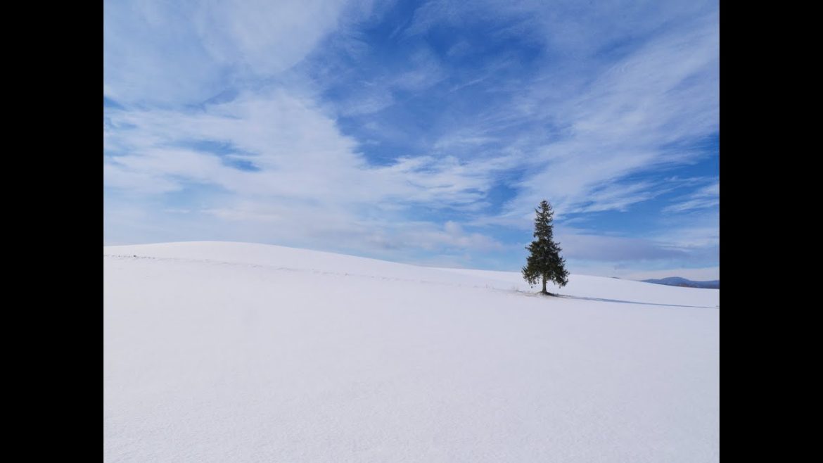 Biei - Local private tour with Mr.Kuma