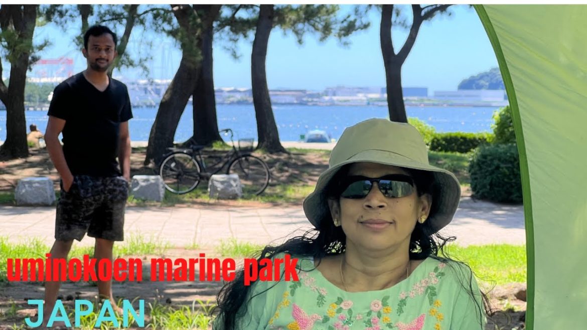 Japan|Beach|uminokoen seaside park|marine park|tokyo sightseeing|
