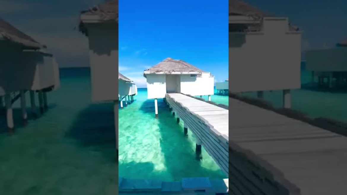 Tag someone you’d love to visit Maldives with❤️ - Travel Destination #Shorts