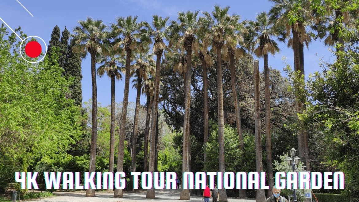 Walking Around National Garden 4K- Athens Greece – Virtual Walking Tour + Travel Guide Walking Around National Garden 4K- Athens Greece - Virtual Walking Tour + Travel Guide