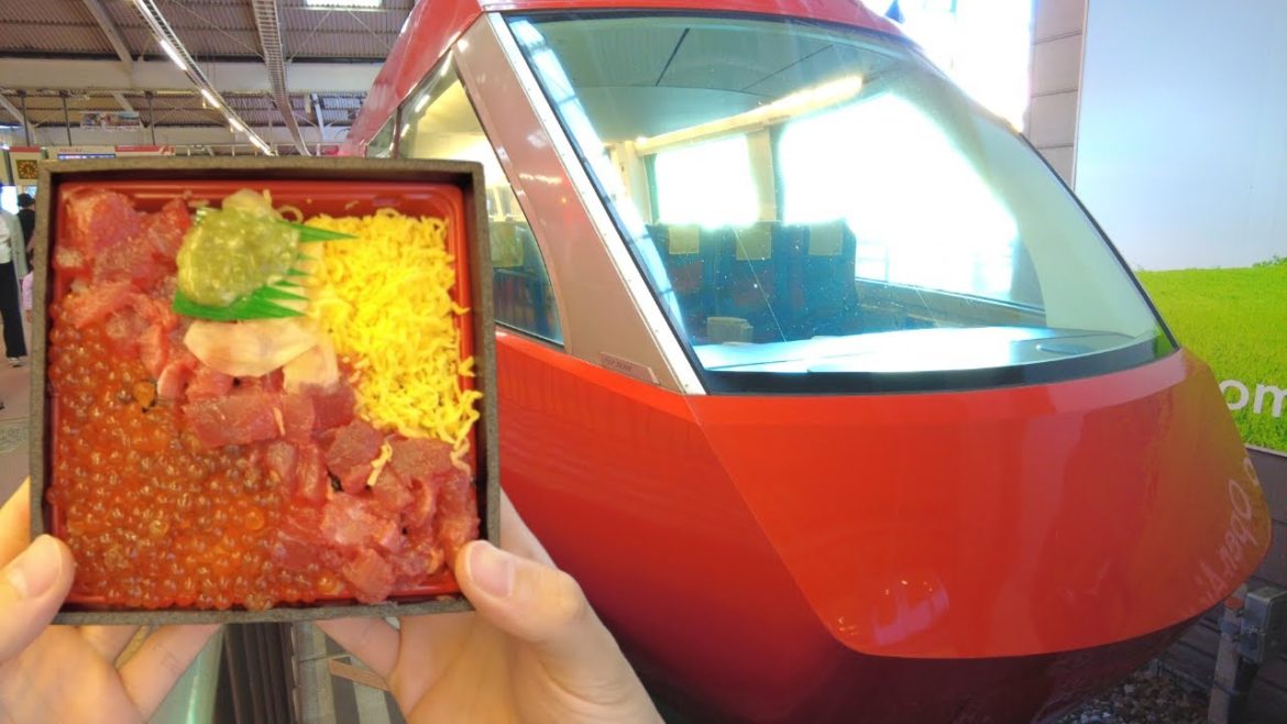 Riding on Japan’s DELUXE Express Train with Bento Box | the Romancecar Hakone