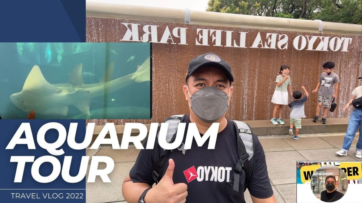 TOKYO SEA LIFE PARK .THE UNDERWATER PARADISE / The Wonderer of Japan #JAPAN BEST AQUATIC TOUR
