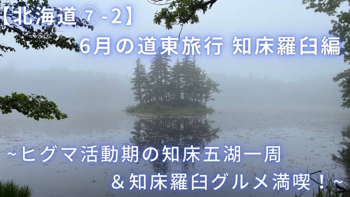 【北海道⑦-2】6月の道東旅行 知床羅臼編~ヒグマ活動期の知床五胡一周&知床羅臼グルメ満喫!~ 【北海道⑦-2】6月の道東旅行 知床羅臼編~ヒグマ活動期の知床五胡一周&知床羅臼グルメ満喫!~