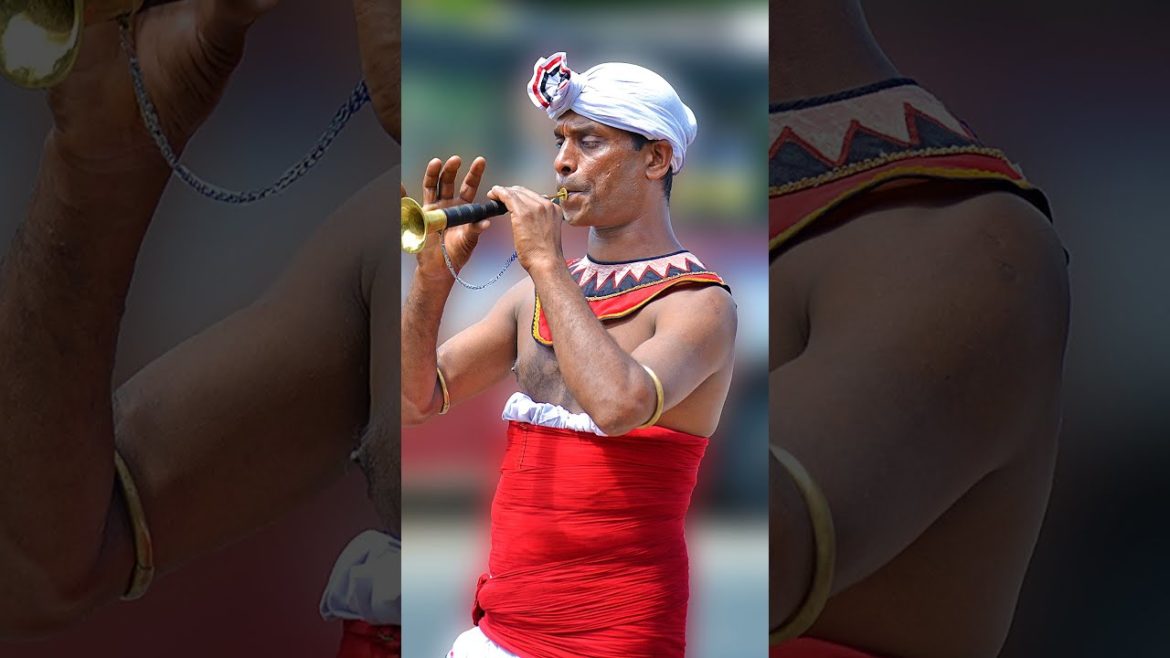 Trip to Srilanka ✓ Endless Vacation