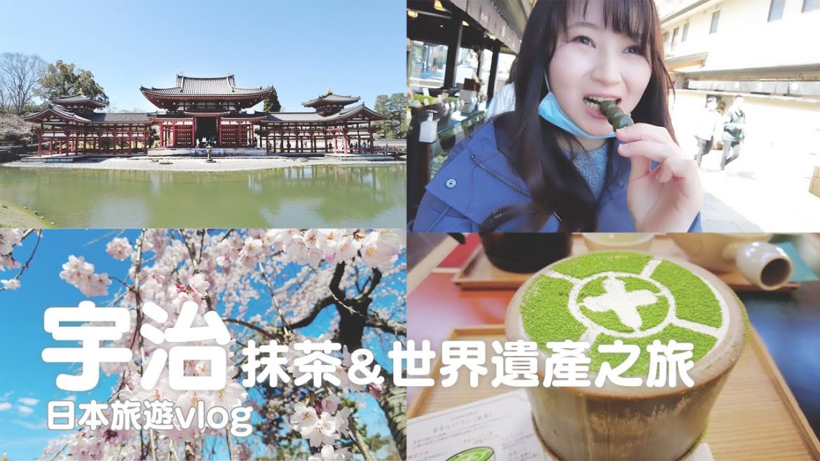 京都|"日本最古老"國寶宇治上神社、世界遺產平等院、宇治抹茶中村藤吉本店、櫻花季|日本旅遊vlog/Japan travel 2022 Kyoto vlog 京都|"日本最古老"國寶宇治上神社、世界遺產平等院、宇治抹茶中村藤吉本店、櫻花季|日本旅遊vlog/Japan travel 2022 Kyoto vlog