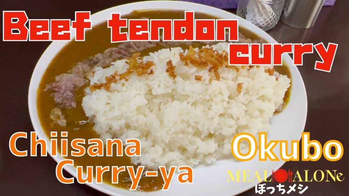 #8 Beef tendon curry ChiisanaCurry-ya at Okubo Tokyo Meal Alone 牛すじカレー 小さなカレー家 大久保店 ぼっちメシ
