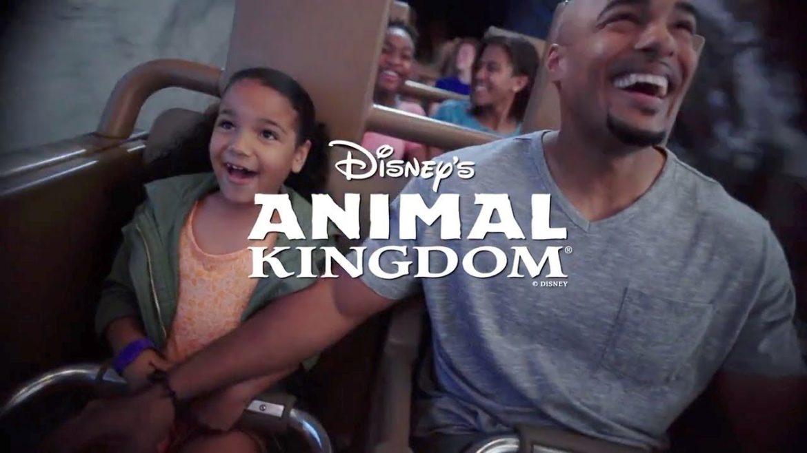 Disney's Animal Kingdom at Walt Disney World Resort Its A Great Time For