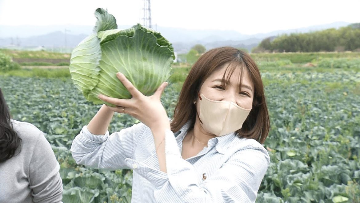 New Sustainability-themed Tours in Osaka, Japan