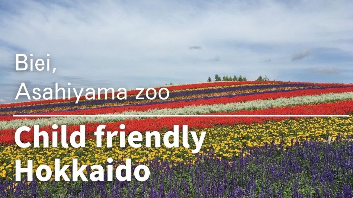 Hokkaido Japan Travel |Travel with kids| Biei Asahiyama Zoo| Fureai bokujo