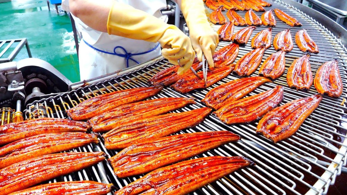 놀라운 전통방식, 자동화 설비로 만드는 장어구이, 두반장, 육포, 소시지 | Amazing Mass Production of Taiwanese Food