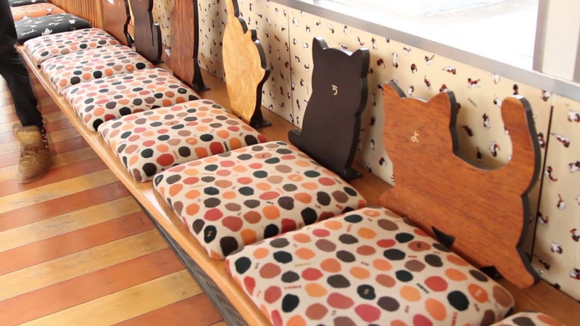 Tama the Super Station Master Cat and her train.