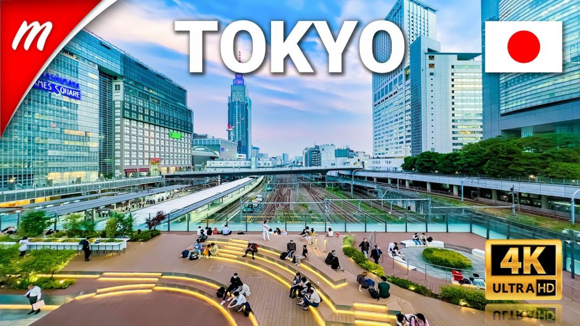 2022 South Shinjuku Walking Tour | TOKYO Travel Guide