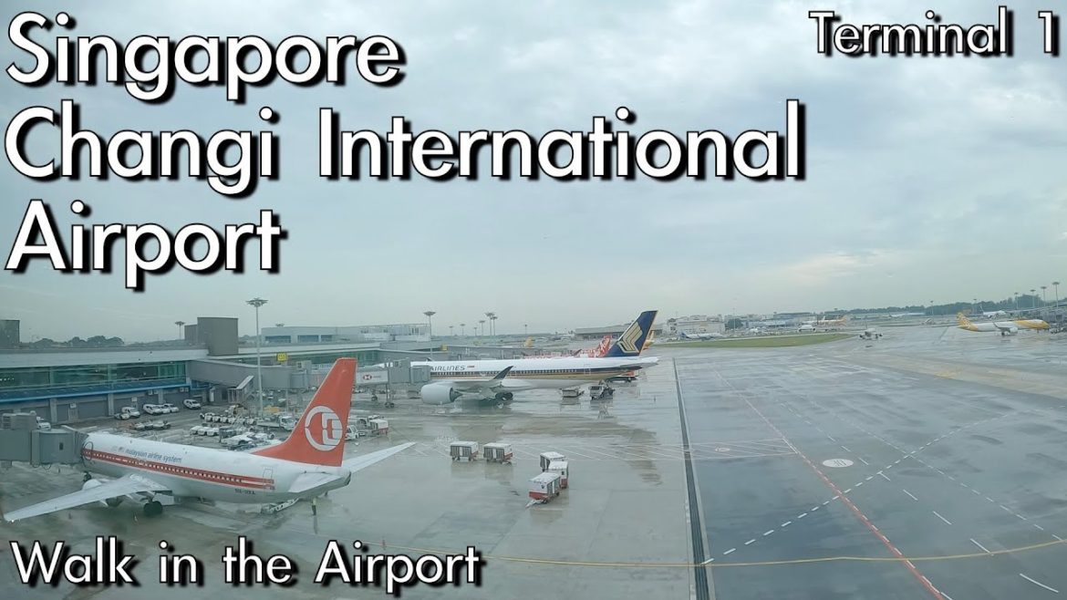 Walking in Singapore Changi International Airport terminal1 | Walk in the Airport Walking in Singapore Changi International Airport terminal1 | Walk in the Airport