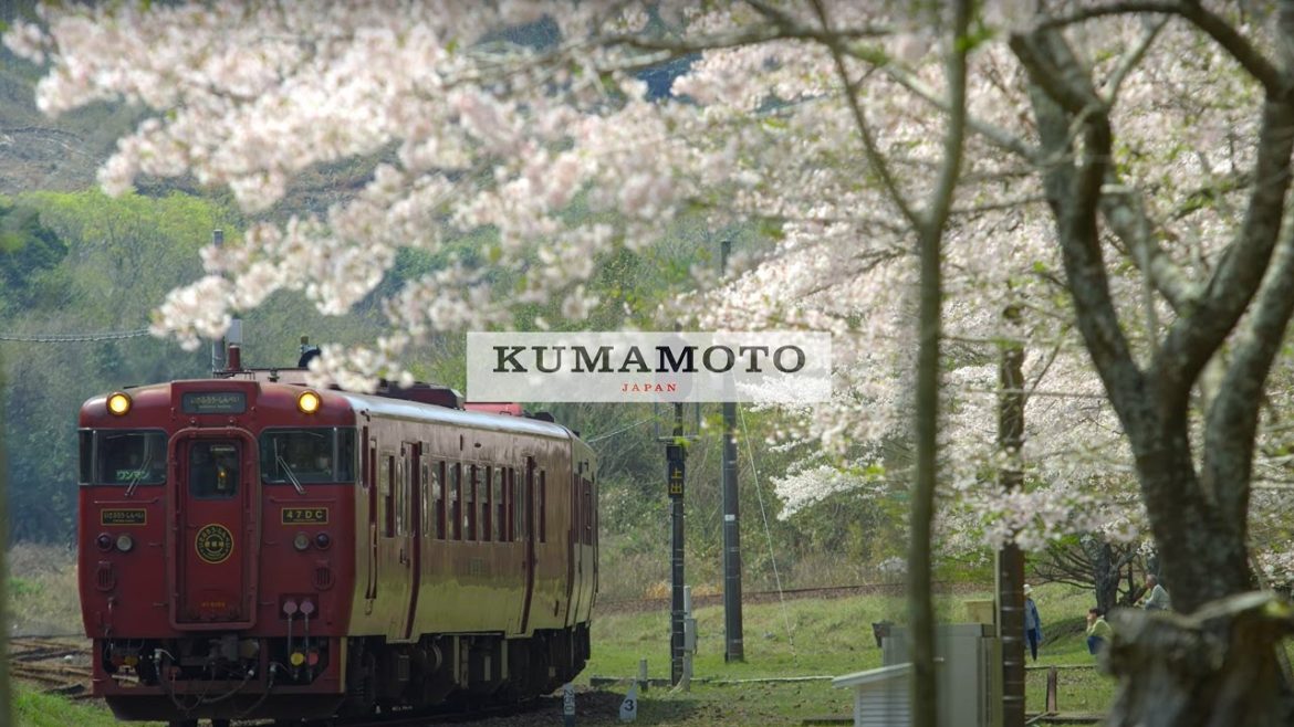 [Spring] Kumamoto, Japan 8K - 熊本県