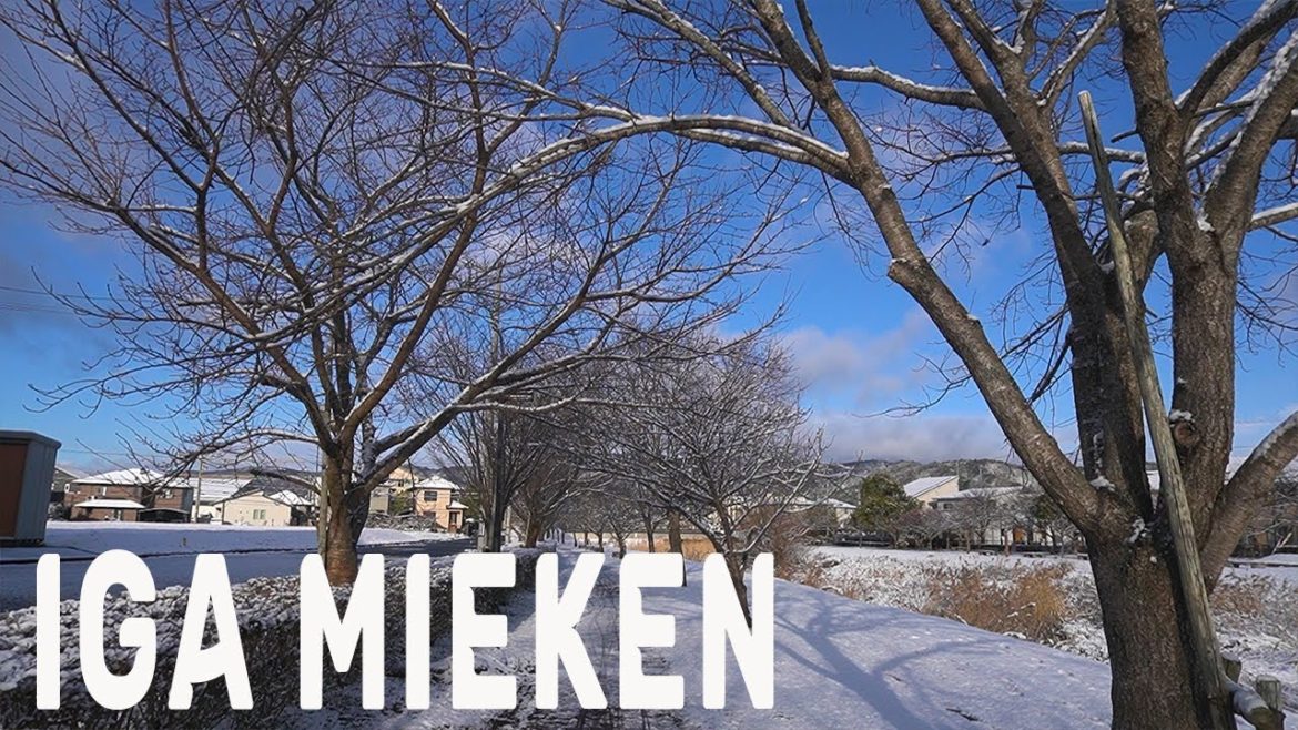 【4K】IGA MIEKEN WALKING TOUR | 4K6OFPS