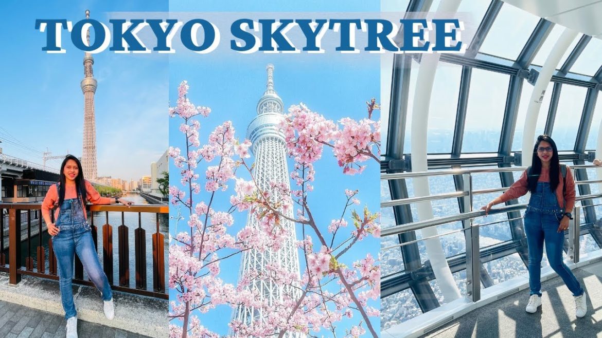 Tokyo Skytree Town | ජපානයේ උසම කුළුණ | Tokyo walk video | Life in Japan Tokyo Skytree Town | ජපානයේ උසම කුළුණ | Tokyo walk video | Life in Japan