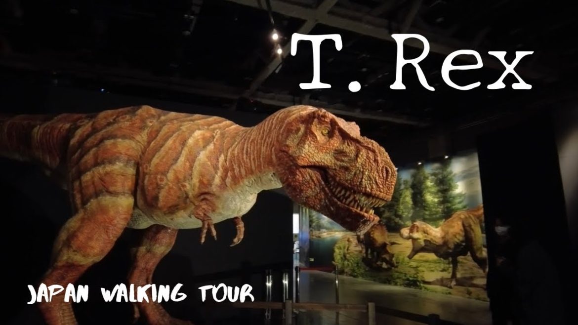 Japan Walk Tour 【Tyrannosaurus Exhibition】Nagoya City Science Museum