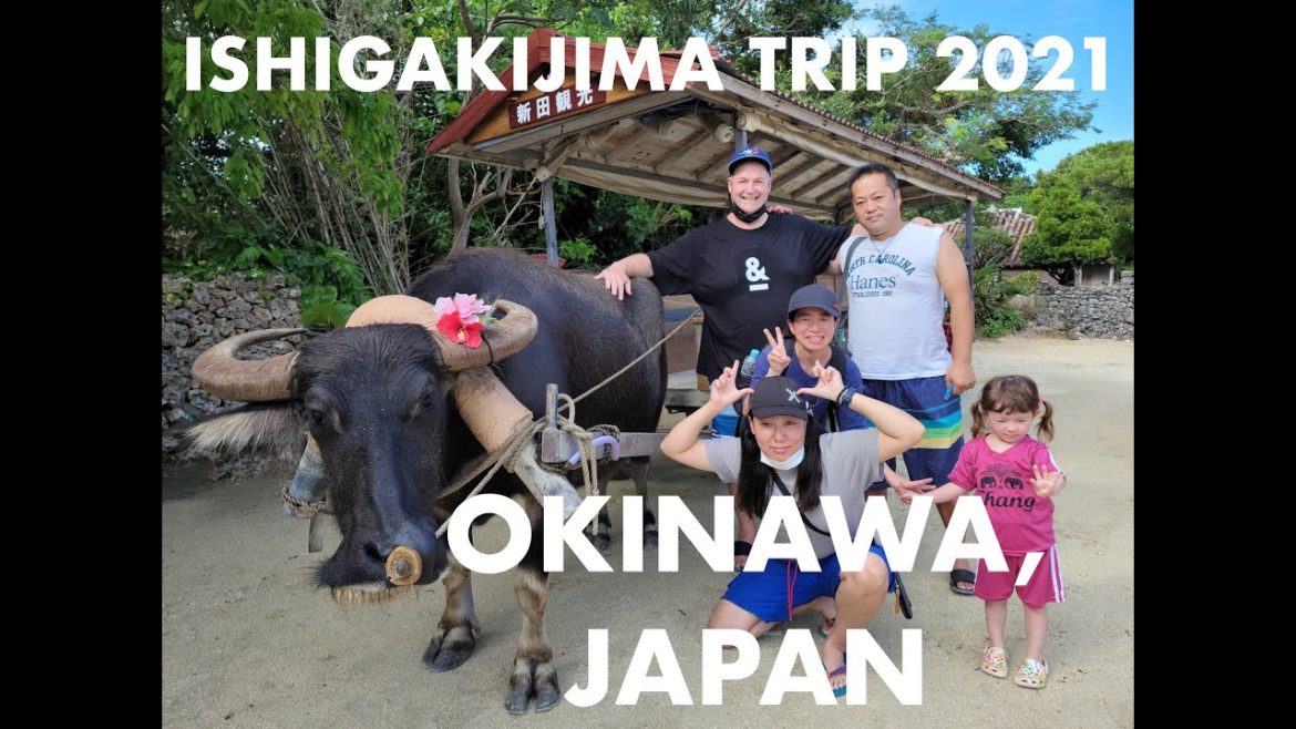 Tour the Island of ISHIGAKIJIMA! OKINAWA, JAPAN Tour the Island of ISHIGAKIJIMA! OKINAWA, JAPAN