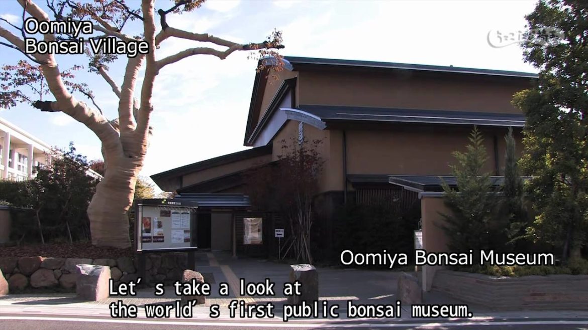 Oomiya Bonsai village 【埼玉県公式観光動画】