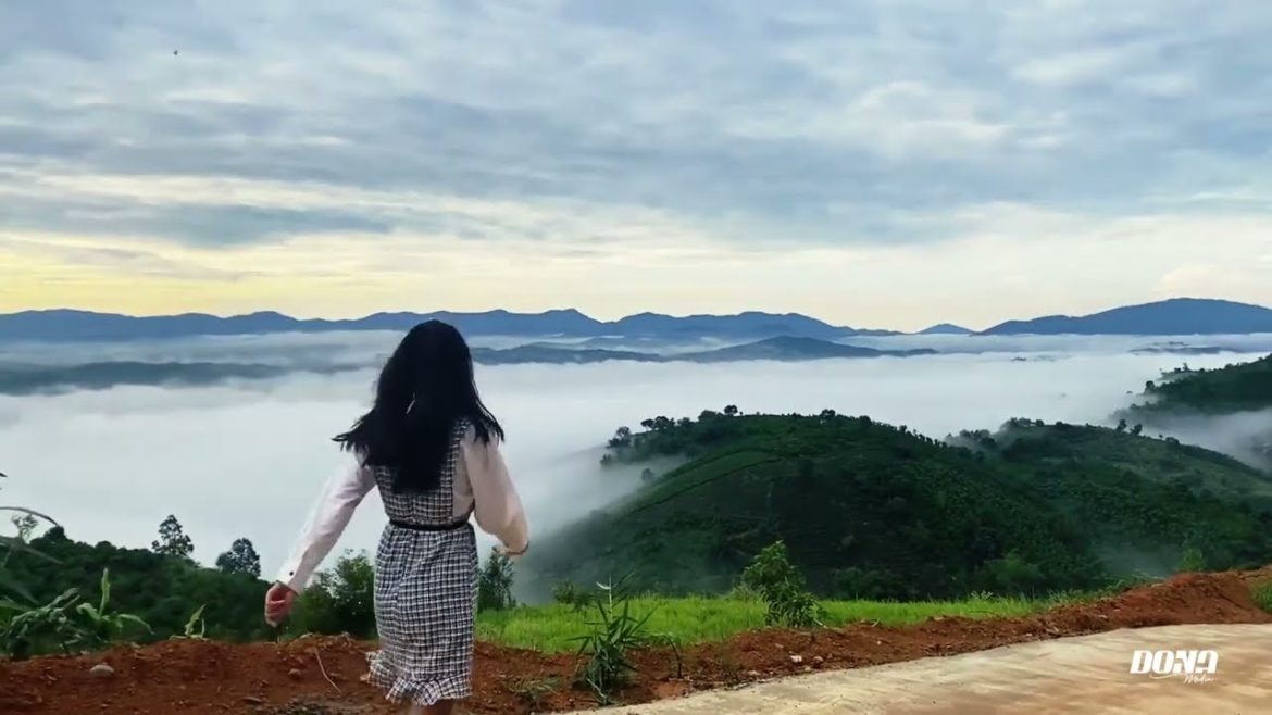 [BẢO LỘC] Thiên Đường Săn Mây - Khu Vực Núi Đại Bình