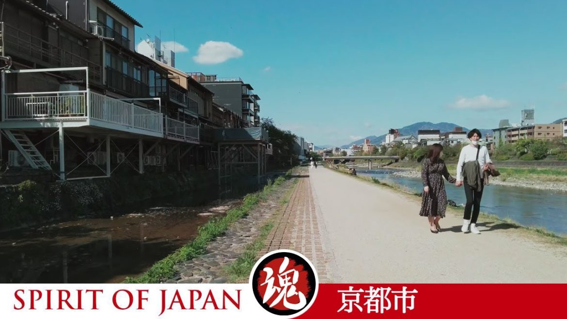 4K KYOTO JAPAN - Kamo River Walking Tour | 京都 鴨川