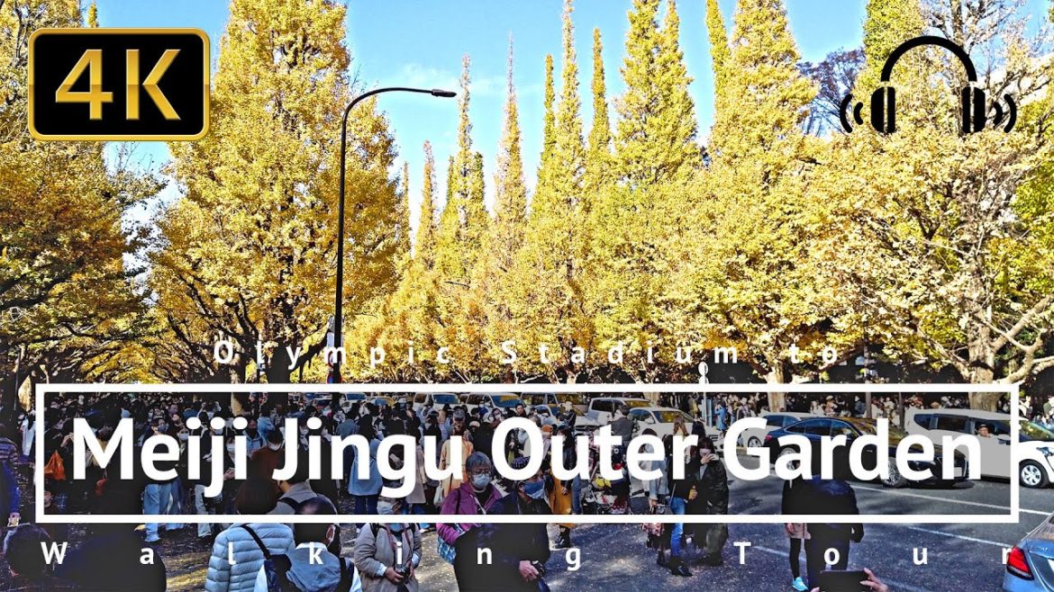 Olympic Stadium to Meiji Jingu Outer Garden Ginkgo Trees Walking Tour - Tokyo Japan [4K/Binaural]