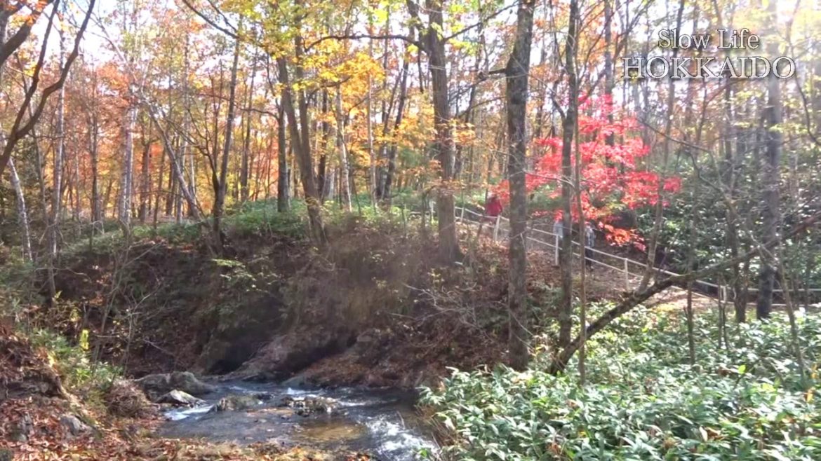 Slow Life Hokkaido - Iwanai Gorge