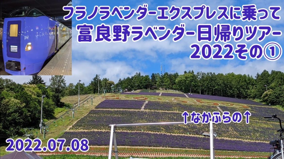 【富良野ラベンダー日帰りツアー2022①】(2022.07.08)