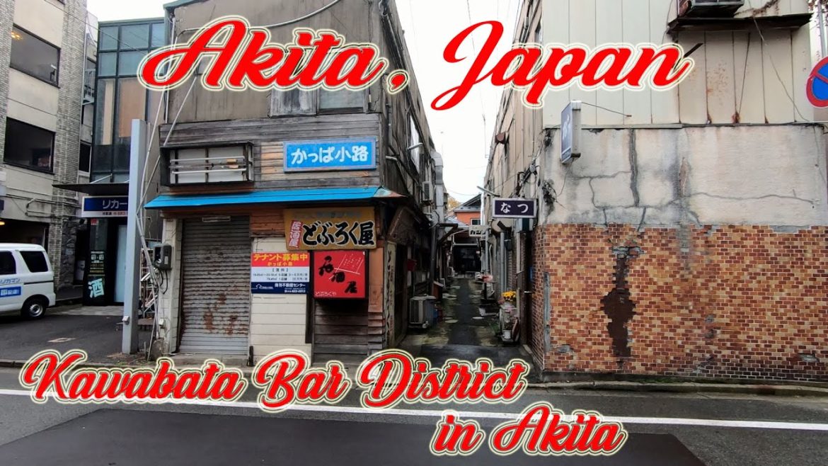Walking in Akita, Japan. Kawabata Bar District in Akita. ORANGE ua