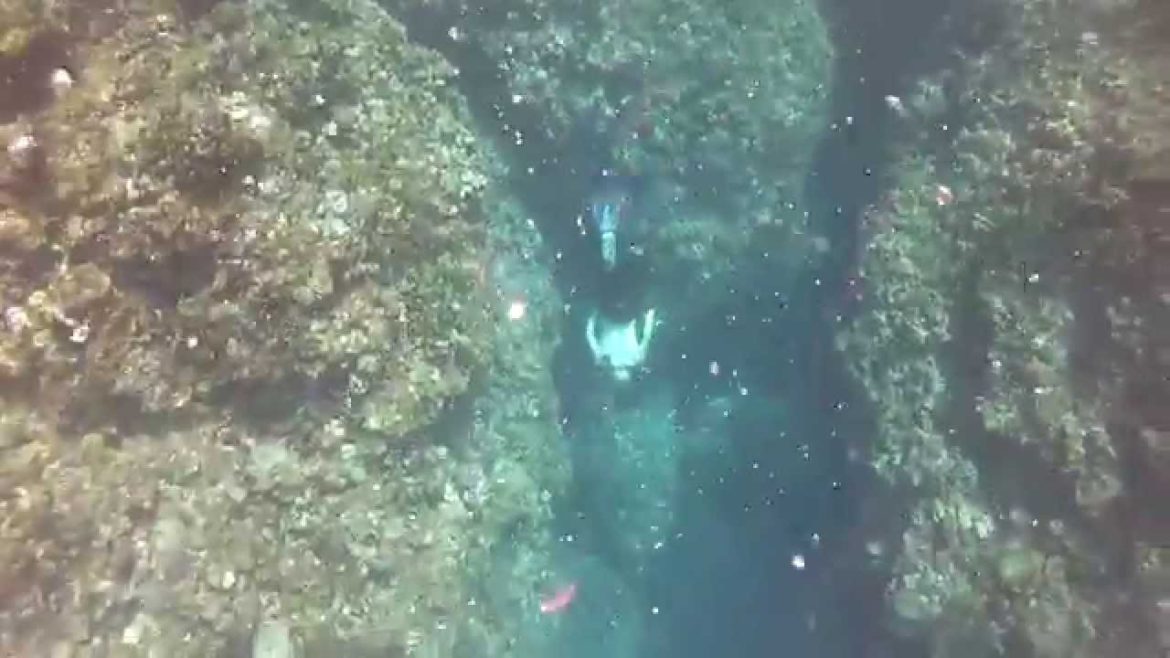 Okinawa Dive Life 2014-2015