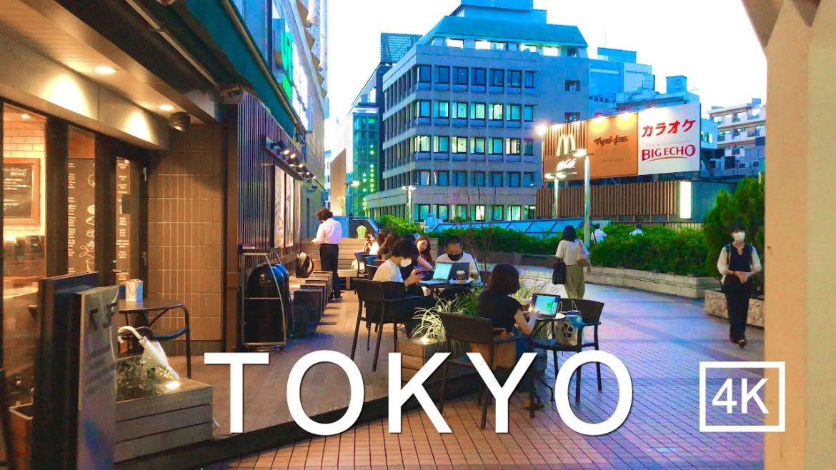 [4K] Tokyo Walking Tour | What's inside EBISU station ? Japan 4K