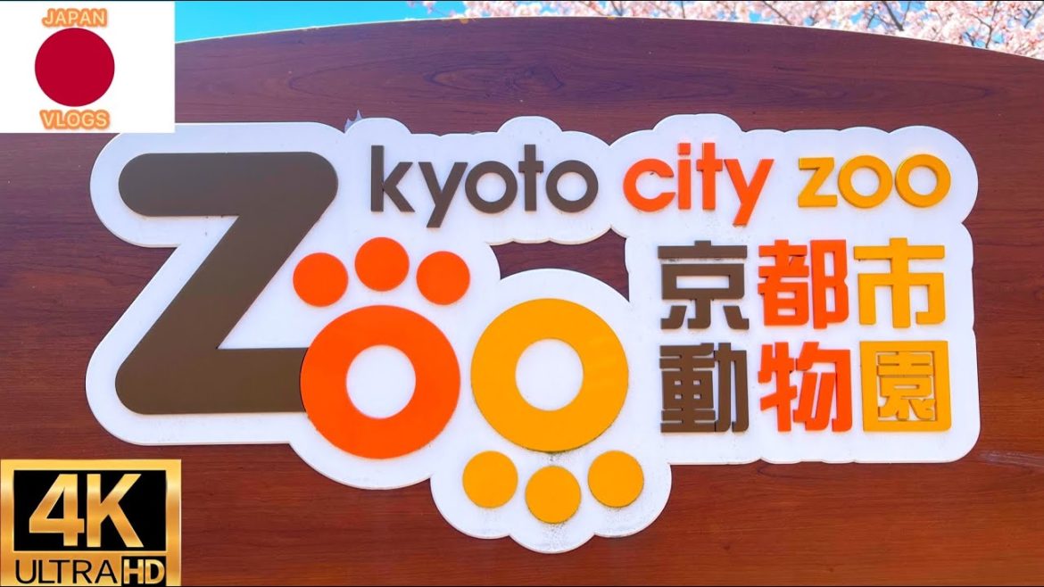 Kyoto Zoo City quick walk tour japan zoo  2022 Kyoto Zoo City quick walk tour japan zoo  2022