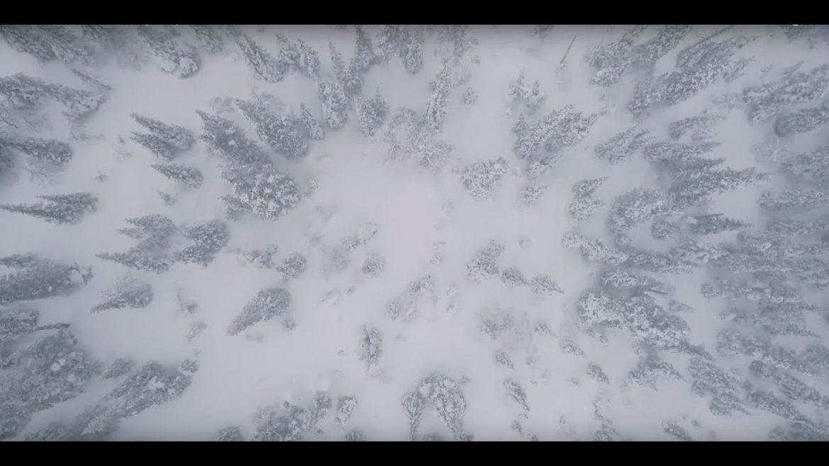 Ode to Our Boreal Winter in Saguenay–Lac-Saint-Jean