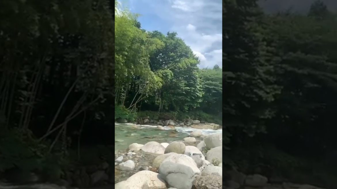 Beautiful Lake in Japan near Tokyo