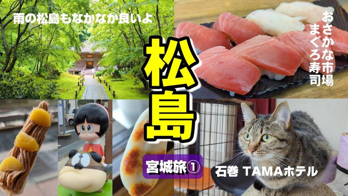 【 宮城 松島旅 】雨の松島食べ歩き／猫のタマホテルで宿泊　新緑の円通院から、天然まぐろ寿司～B級グルメの石巻焼きそば　そして石巻で猫部長のいるタマホテルへ