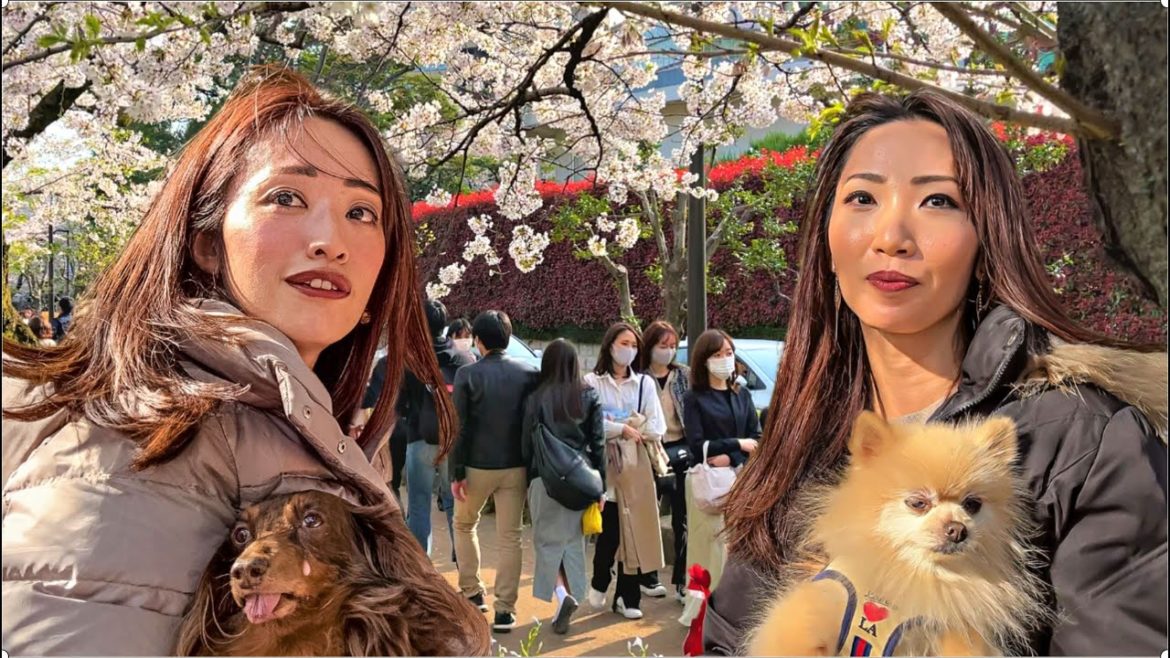 Tokyo's Extremely Popular Event Now