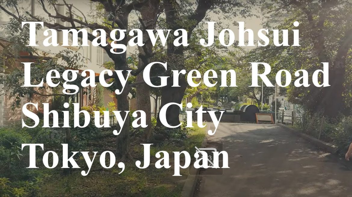 Walking tour Tamagawa Johsui Legacy Green Road, Tokyo Japan