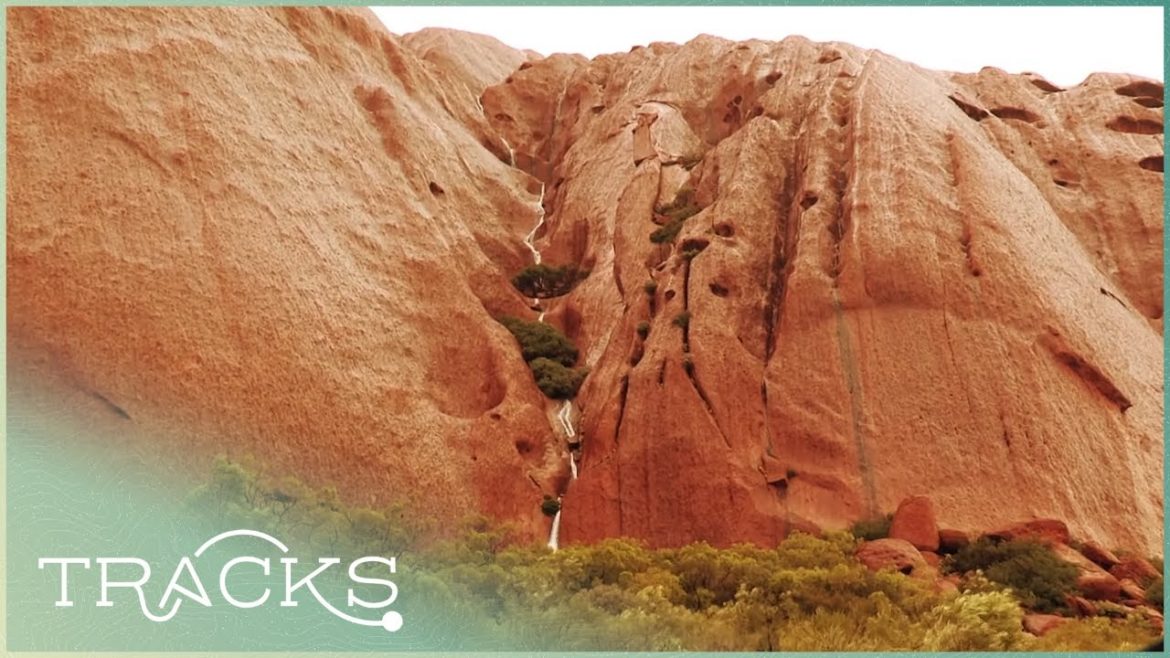 Life In The Australian Outback Desert | Desert And Life | TRACKS Life In The Australian Outback Desert | Desert And Life | TRACKS