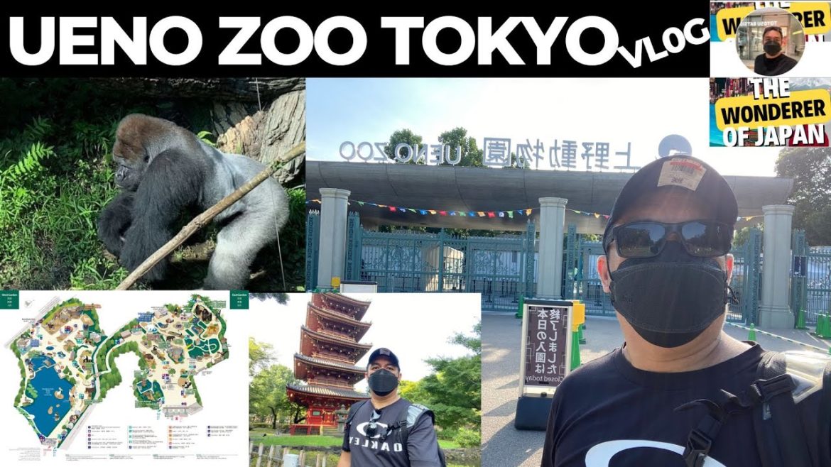UENO ZOO TOKYO TOUR #JAPAN FAMOUS ZOO#JAPAN TRAVEL VLOG 2022