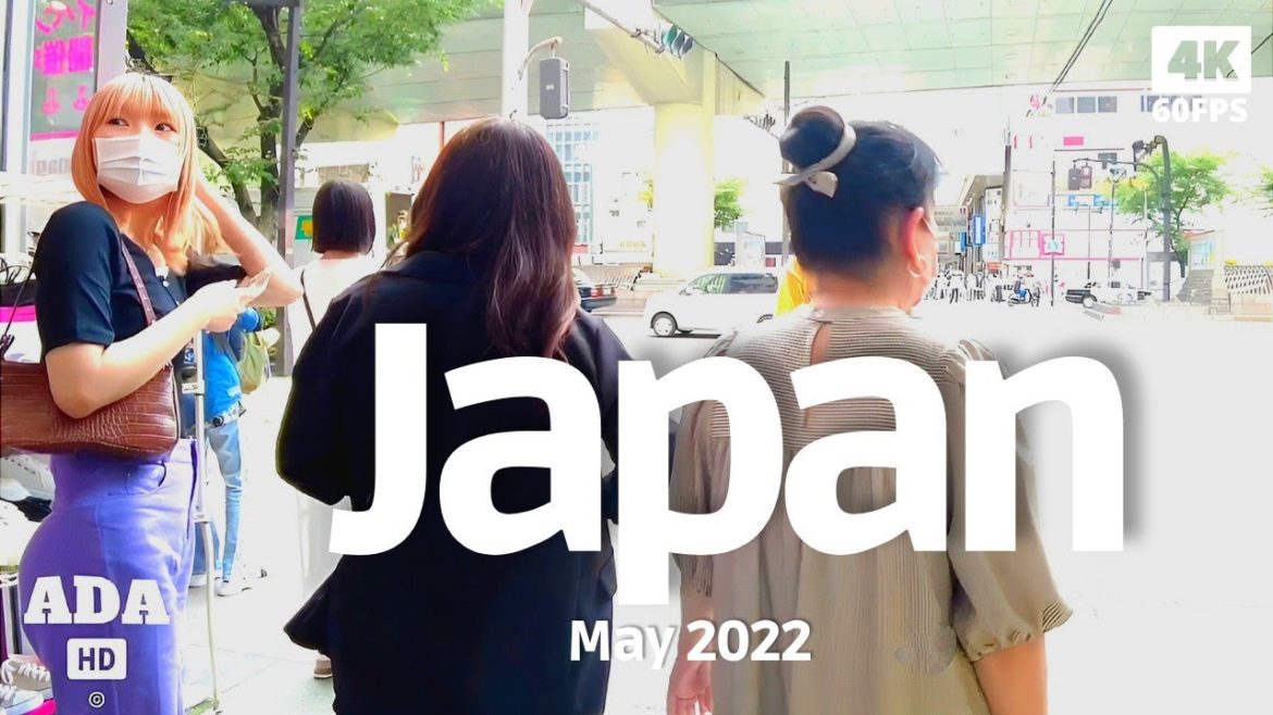 [4K] Dotonbori Osaka Japan - Walk Tour Through The City and Shops