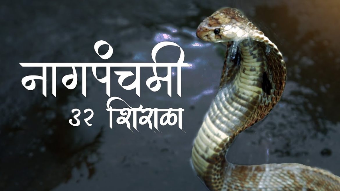 32 Shirala Nagpanchanmi  | बत्तीस शिराळा नागपंचमी | Documentary