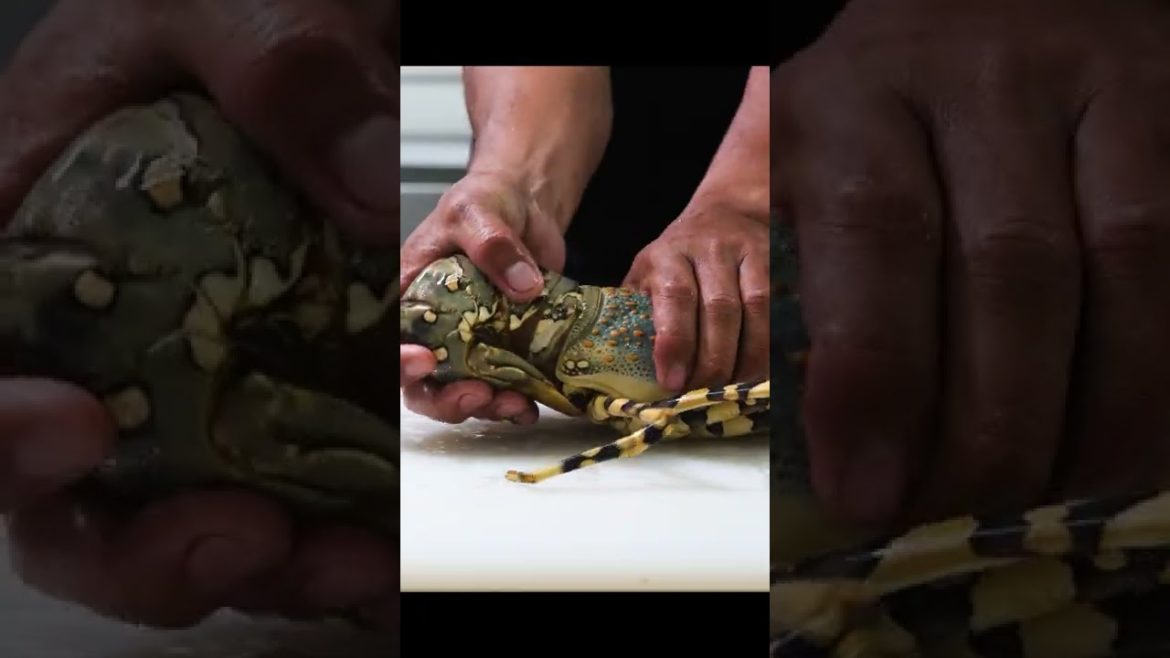 타이거 랍스타 Tiger Lobster -  Filipino street food #shorts