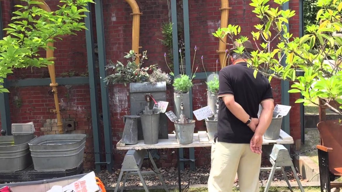 Golden Week - Nagoya - 2015