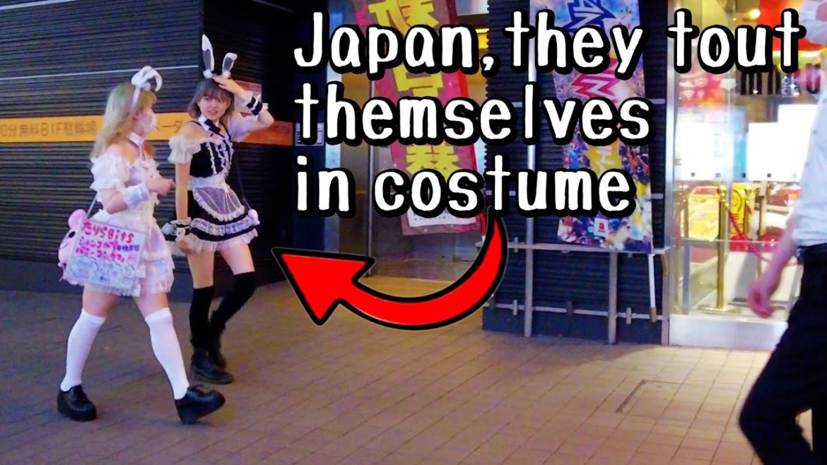 Japan walk Kabukicho at late night, red light district, adult alley in Shinjuku, Tokyo｜cosplay girl