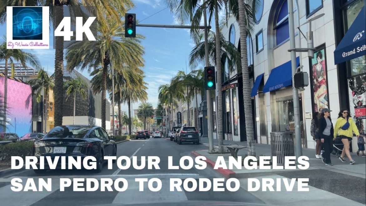 [4K] DRIVING TOUR FROM NAGOYA WAY SAN PEDRO FISH MARKET TO RODEO DRIVE BEVERLY HILLS CALIFORNIA