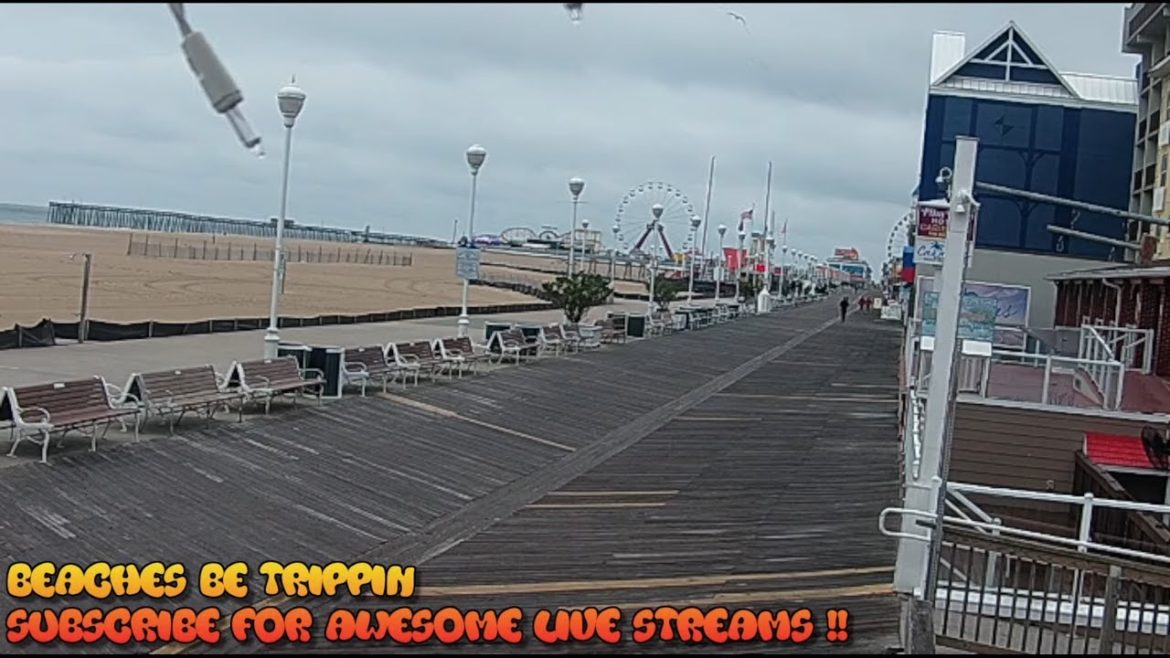 Ocean City Maryland Live Webcam - Maryland beach live webcam - ocean city boardwalk live cam